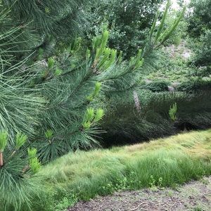 Meet your Posher, Gustavo